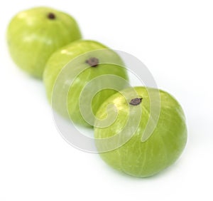 Amla fruits with selective focus