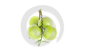Amla green fruits ,Phyllanthus emblica isolated on white background