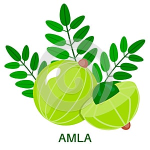 Amla icon in flat style isolated