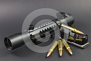 Ammo, a scope and a clip