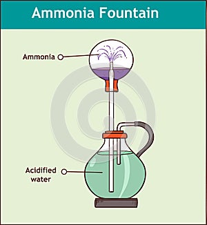 Ammonia fountain experiment to demonstrate the solubility of ammonia gas. Fully labelled diagram photo