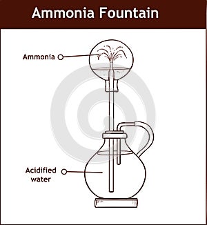 Ammonia fountain experiment to demonstrate the solubility of ammonia gas. Fully labelled diagram