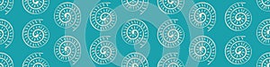 Ammonite vector seamless border background. Hand drawn banner of ribbed spiral-form shell cephalopod fossil. Blue white