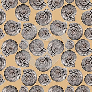 Ammonites on a beige background. Seamless pattern for design of clothes, printing on wrapping paper.