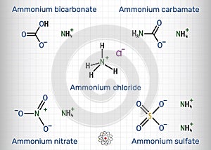 Ammonium salts: ammonium bicarbonate, ammonium carbamate, ammonium sulfate, ammonium nitrate, ammonium chloride molecule. Skeletal