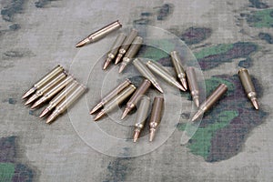 Ammunition on camoflage