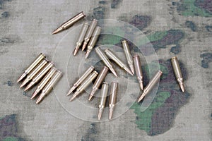 Ammunition on camoflage