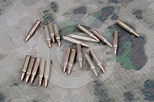 Ammunition on camoflage