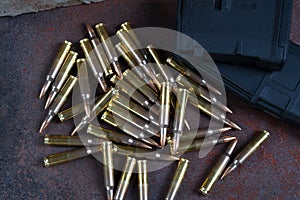 Ammunition and magazines 223 rem