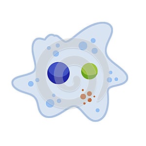 Amoeba cell. Small unicellular animal. Virus and bacteria.