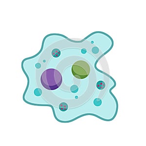 Amoeba cell. Small unicellular animal. Virus and bacteria.