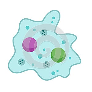 Amoeba cell. Small unicellular animal. Virus and bacteria.