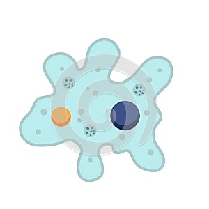 Amoeba cell. Small unicellular animal. Virus and bacteria.