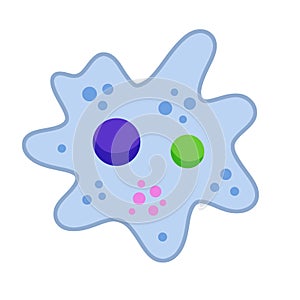 Amoeba cell. Small unicellular animal. Virus and bacteria