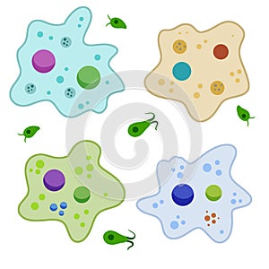 Amoeba cell. Small unicellular animal. Virus and bacteria. Education and science.