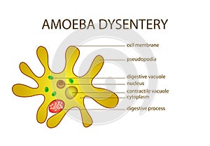 AMOEBA DYSENTERY