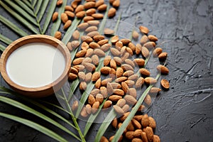 Amond seeds with bowl of fresh natural milk placed on black stone background