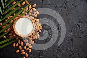 Amond seeds with bowl of fresh natural milk placed on black stone background