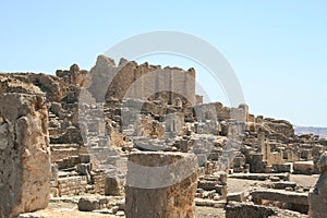 Amongst the roman ruins of Dougga