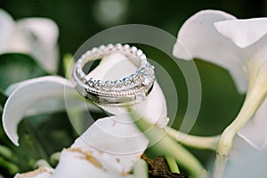 Amongst the vibrant red blossoms, the wedding ring rests