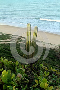 Amor beach, Tibau do Sul