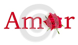 Amor rosa