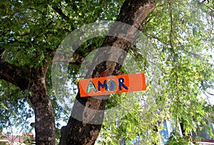 Amor sign hanging on a tree