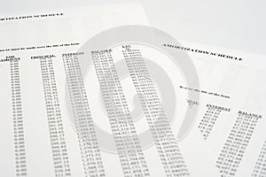 Amortization Schedule