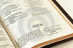 Amos Bible prophet from Old Testament. A close-up