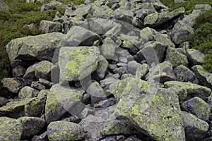 Amount of boulder with moss in Low Tatras mountains