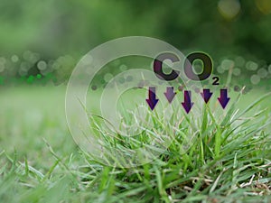 The Amount of CO2 is reduced by green grasses. Reduce CO2 emission concept: sustainable development and green business for clean