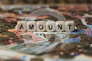 Amount - cube with letters, money sector terms - sign with wooden cubes