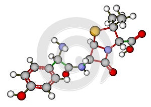 Amoxicillin molecular model