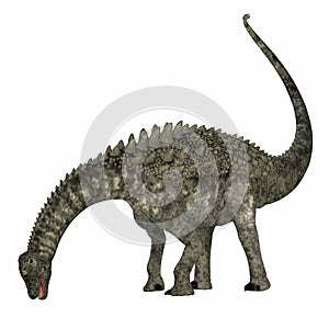 Ampelosaurus Herbivore Dinosaur