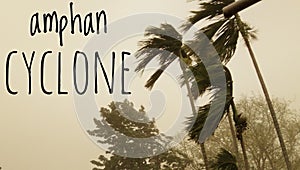 Amphan cyclone text word written on strom winds palm coconut trees background