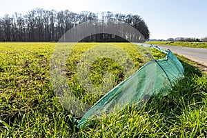 amphibian fence