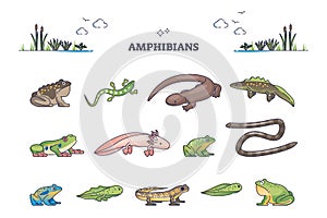 Amphibians as water vertebrates for moist habitat outline collection set