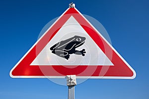 amphibians crossing