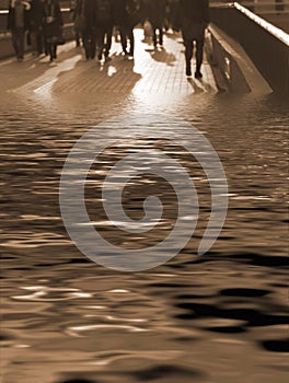 The amphibians-sepia