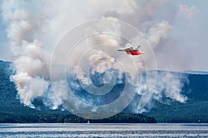 Amphibious airplane drops water on forest fire near the lake