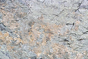 Amphibolite metamorphic rock texture photo