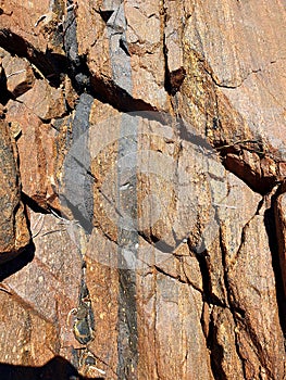 Amphibolites - Port Neill Geology