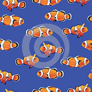 Amphiprioninae (Clownfish) blue seamless vector pattern photo