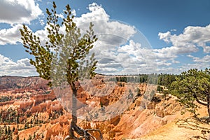 Amphitheater at Bryce Canyon, Utah USA photo