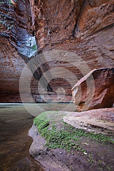 The Amphitheater, Cathedral Gorge, Purnululu National Park