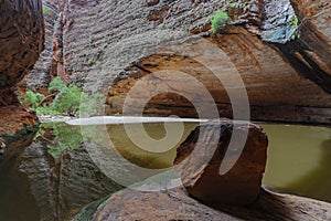 The Amphitheater, Catherdral Gorge, Purnululu National Park