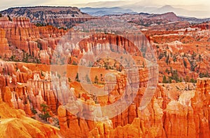 Amphitheater Hoodoos Bryce Canyon National Park Utah