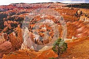 Amphitheater Hoodoos Bryce Canyon National Park Utah