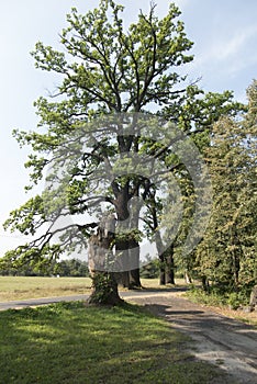 Amphitheater and monument to Silesian insurgents in Mount St. Anne, next to Opole