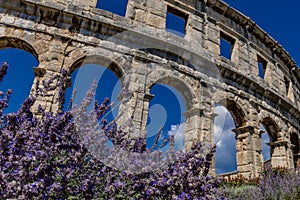 Amphitheater in Pula tourist attractions gladiatorial arena